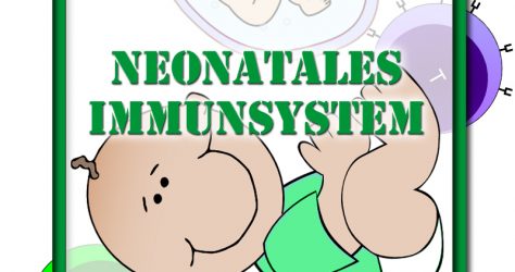 Neonatales Immunsystem